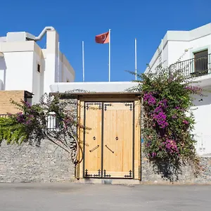 https://salinas-hotel-bodrum.aegeanhotels.net